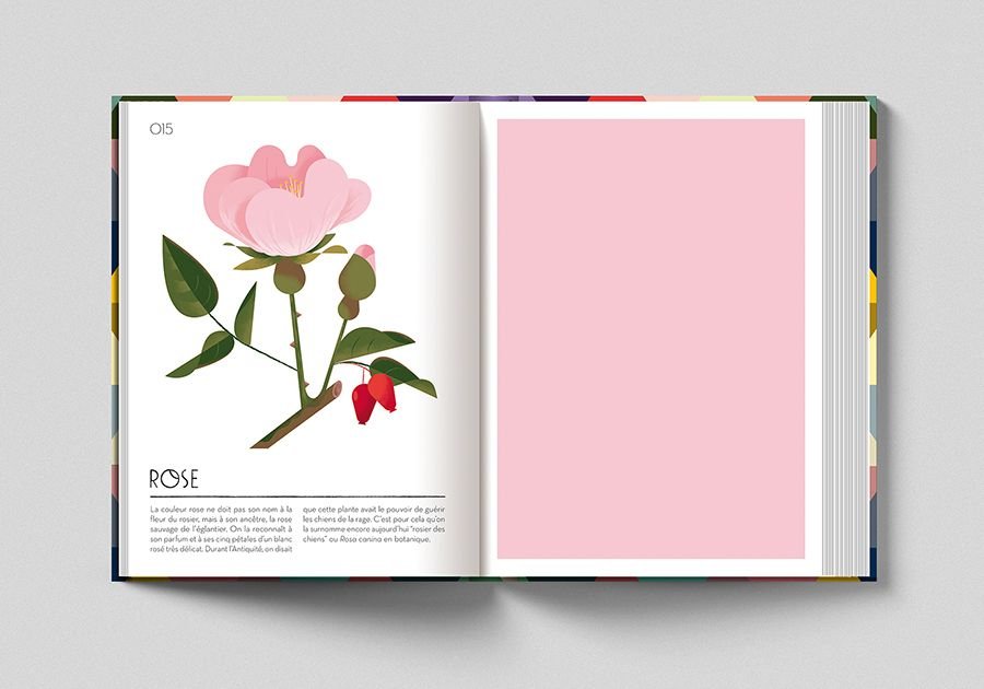 Books & Publishing - Interior & Catalogue sample 18